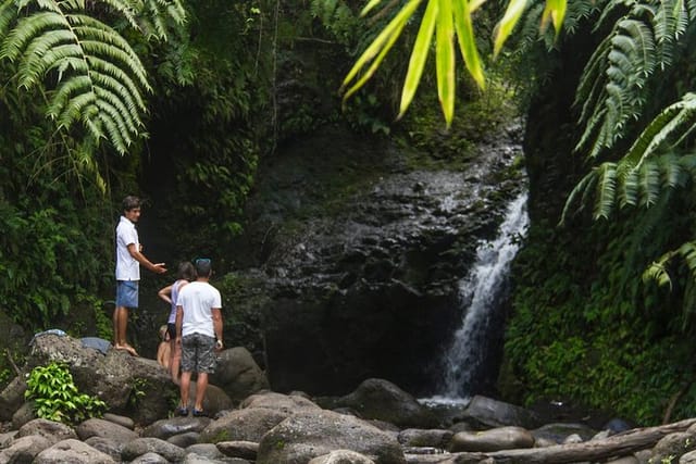 Oahu friendly hiking experience  - Photo 1 of 5